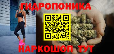 Альфа ПВП Нальчик